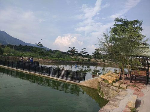 拓展活動｜釣魚